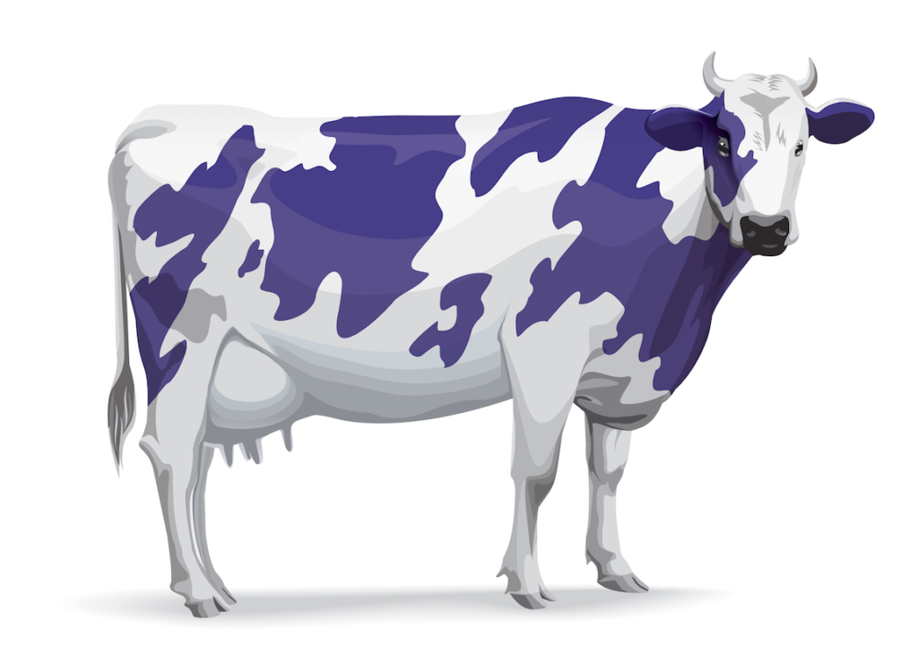 La Vaca Purpura